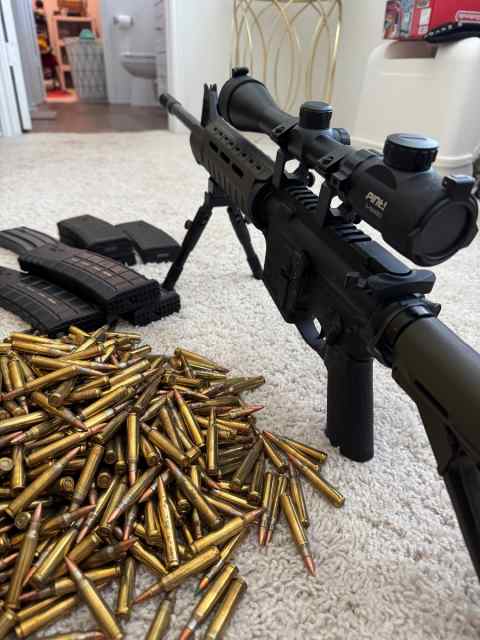 Smith and Wesson MP sport II AR15 