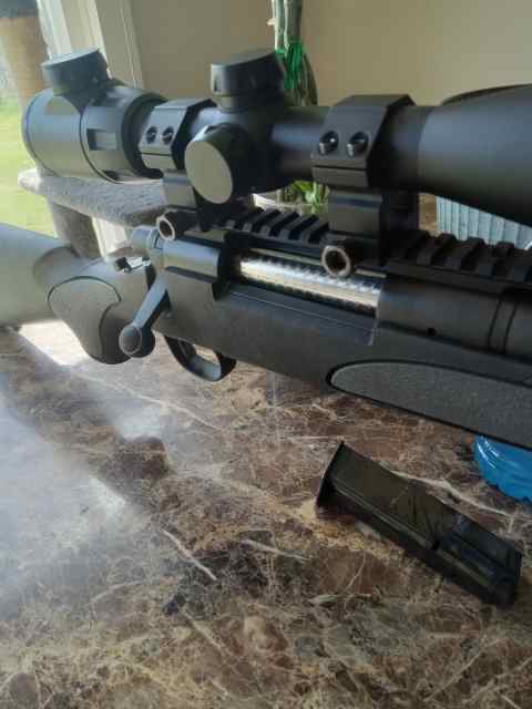 Remington 700 30-06 